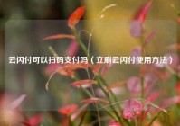 云闪付可以扫码支付吗（立刷云闪付使用方法）