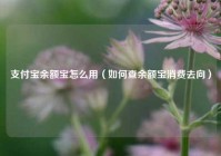 支付宝余额宝怎么用（如何查余额宝消费去向）