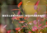 淘宝怎么设置扫码支付（淘宝扫码进店违规吗）