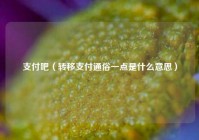 支付吧（转移支付通俗一点是什么意思）