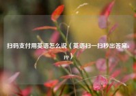 扫码支付用英语怎么说（英语扫一扫秒出答案app）