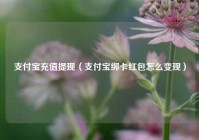 支付宝充值提现（支付宝绑卡红包怎么变现）