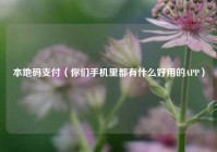 本地码支付（你们手机里都有什么好用的APP）