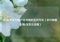 农行k码支付账户无可用的支付方式（农行转账不用k宝怎么设置）