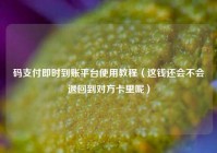 码支付即时到账平台使用教程（这钱还会不会退回到对方卡里呢）