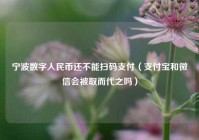 宁波数字人民币还不能扫码支付（支付宝和微信会被取而代之吗）