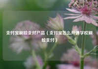 支付宝刷脸支付产品（支付宝怎么开通学校刷脸支付）