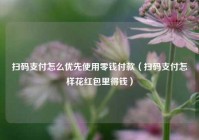 扫码支付怎么优先使用零钱付款（扫码支付怎样花红包里得钱）