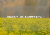 支付宝账户（支付宝注册账号是什么）