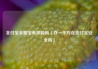 支付宝余额宝有风险吗（存一千万在支付宝安全吗）