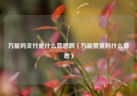 万能码支付是什么意思啊（万能赞赏码什么意思）