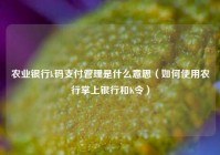 农业银行k码支付管理是什么意思（如何使用农行掌上银行和K令）