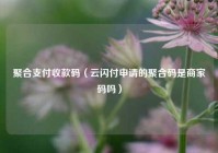 聚合支付收款码（云闪付申请的聚合码是商家码吗）