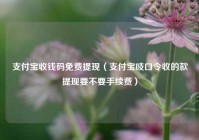 支付宝收钱码免费提现（支付宝吱口令收的款提现要不要手续费）