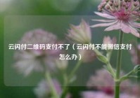 云闪付二维码支付不了（云闪付不能微信支付怎么办）