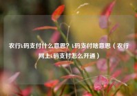 农行k码支付什么意思？k码支付啥意思（农行网上k码支付怎么开通）