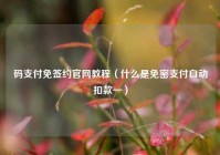 码支付免签约官网教程（什么是免密支付自动扣款一）