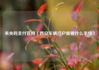 未央码支付官网（西安车辆过户需要什么手续）