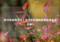 支付宝信用支付（支付宝信用购被冻结是怎么回事）