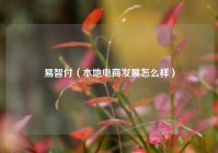 易智付（本地电商发展怎么样）