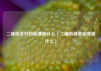 二维码支付的原理是什么（二维码简单原理是什么）