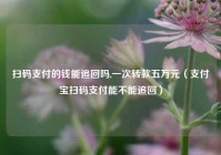 扫码支付的钱能追回吗,一次转款五万元（支付宝扫码支付能不能追回）