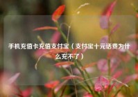 手机充值卡充值支付宝（支付宝十元话费为什么充不了）