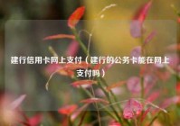 建行信用卡网上支付（建行的公务卡能在网上支付吗）