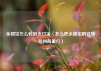 余额宝怎么转到支付宝（怎么把余额宝的钱转到网商银行）