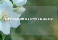 支付宝芝麻信用贷款（支付宝芝麻分怎么买）