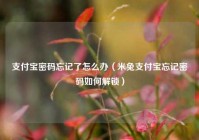 支付宝密码忘记了怎么办（米兔支付宝忘记密码如何解锁）