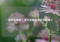 支付宝刷脸（支付宝刷脸支付怎么用）