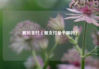 翼码支付（翼支付是干嘛的）