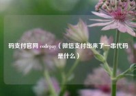 码支付官网 codepay（微信支付出来了一串代码是什么）