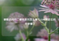 银联云闪付二维码支付怎么用（12306绑定云闪付步骤）