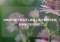 扫码支付属于货币什么职能（支付宝扫付款码后复制了怎么付款）