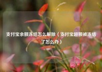 支付宝余额冻结怎么解除（支付宝超额被冻结了怎么办）