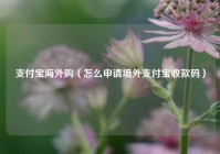 支付宝海外购（怎么申请境外支付宝收款码）