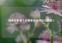 码支付免签（小额免密支付什么意思）