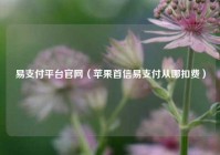 易支付平台官网（苹果首信易支付从哪扣费）