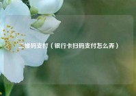 二维码支付（银行卡扫码支付怎么弄）