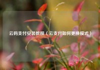 云码支付安装教程（云支付如何更换模式）