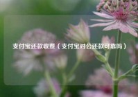 支付宝还款收费（支付宝对公还款可靠吗）