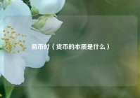 易币付（货币的本质是什么）