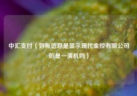 中汇支付（到帐信息是显示现代金控有限公司的是一清机吗）