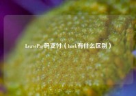 LeavePay码支付（back有什么区别）