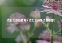 支付宝登陆官网（支付宝登录记录在哪）