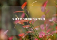 多种支付方式的在线支付平台