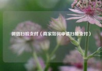 微信扫脸支付（商家如何申请扫脸支付）