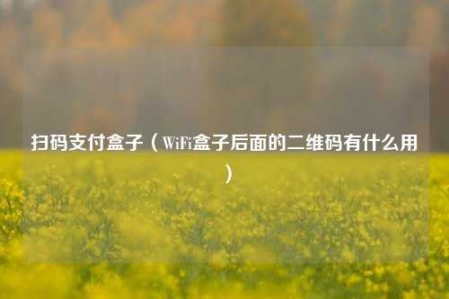 扫码支付盒子（WiFi盒子后面的二维码有什么用）